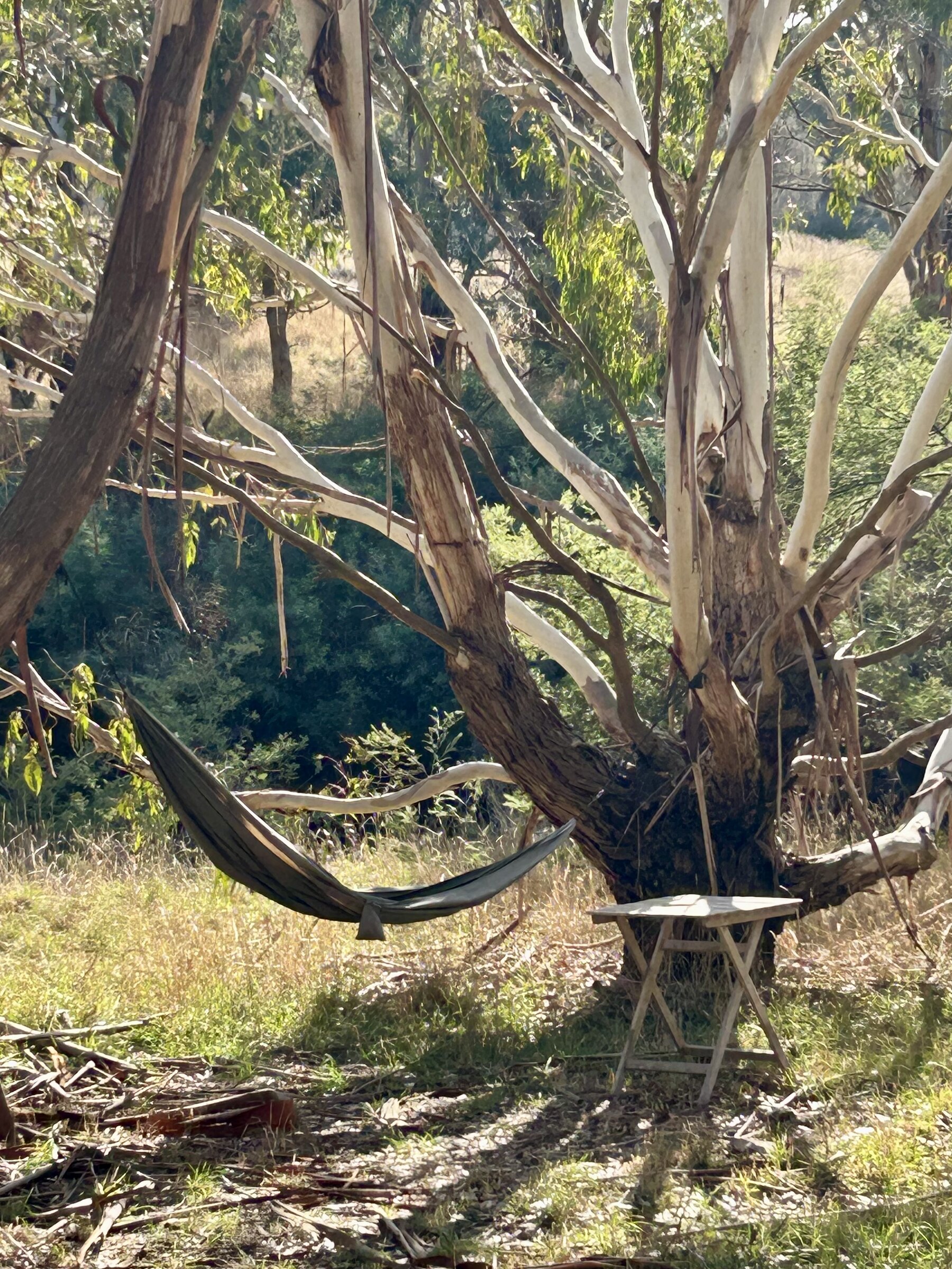 A hammock strung between gum trees beside Deep Creek at Mirrim Wurnit