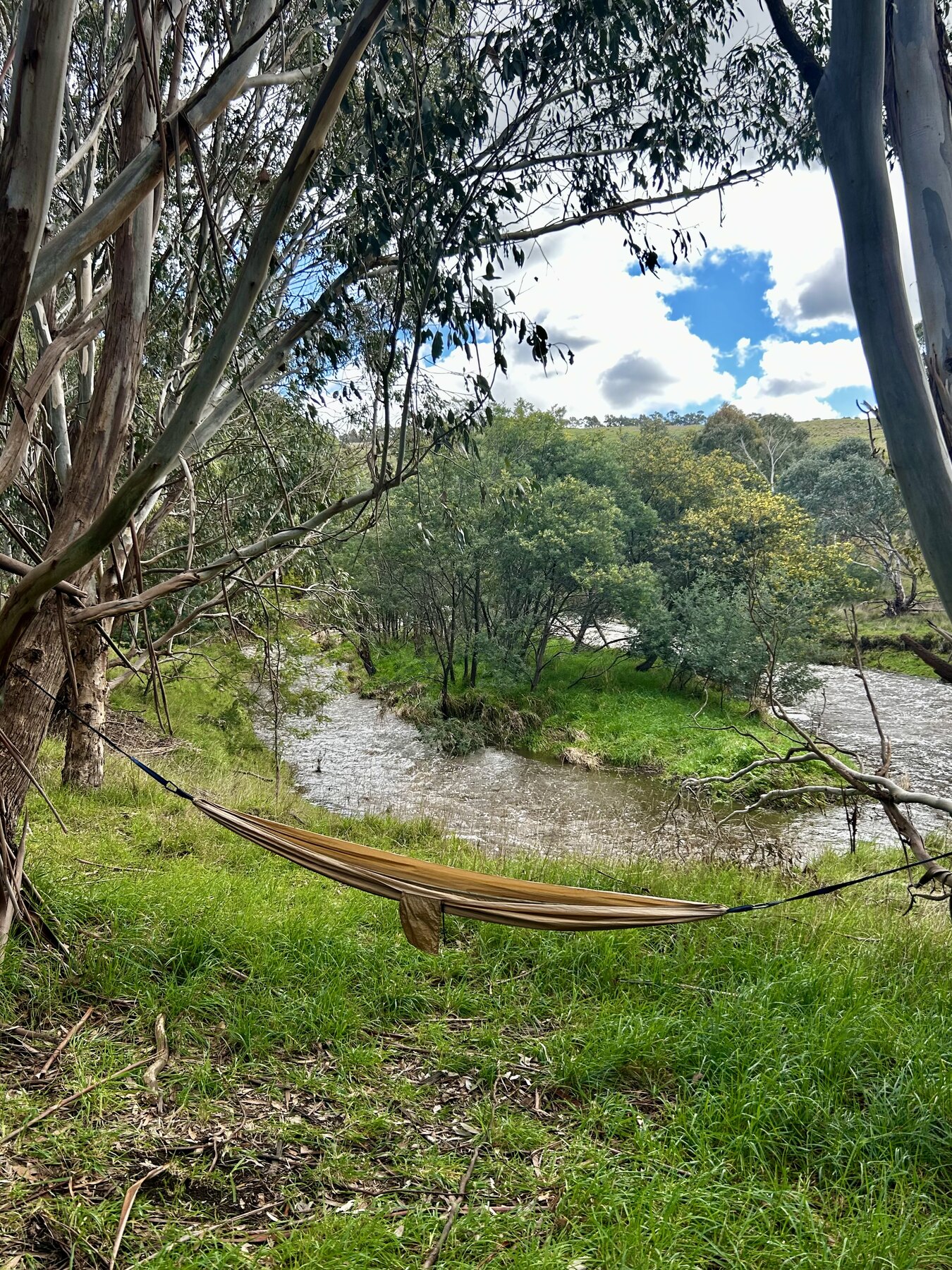 A hammock beside Deep Creek while the water is in full flow