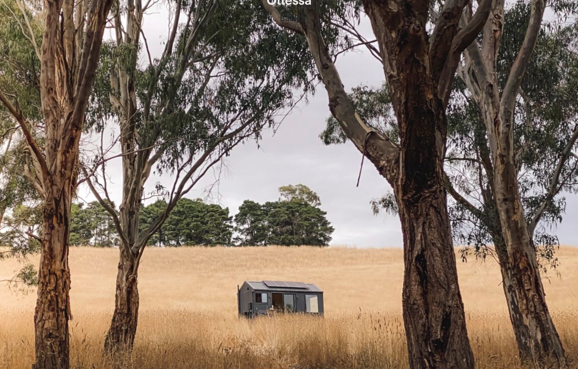 Ottessa cabin in golden grass at The Farm at Mirrim Wurnit